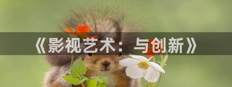 韓國(guó)影視大全