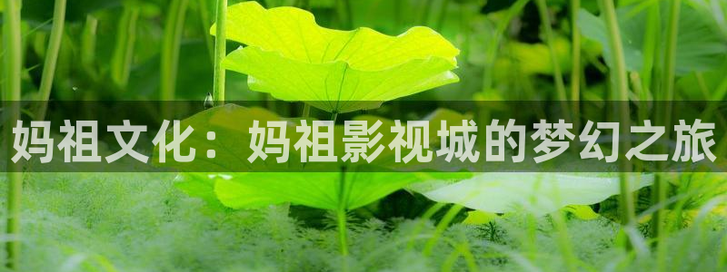 韓國影視免費觀看：媽祖文化：媽祖影視城的夢幻之旅